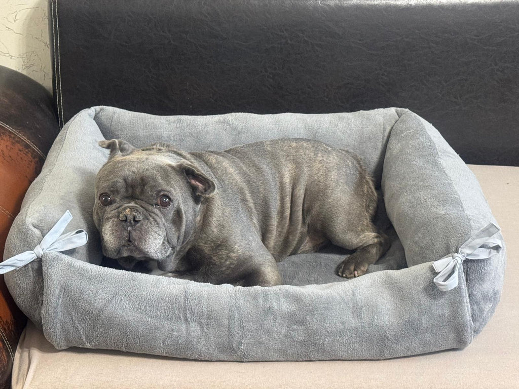 Wohlfühl-Oase: Handgefertigtes Hundebett